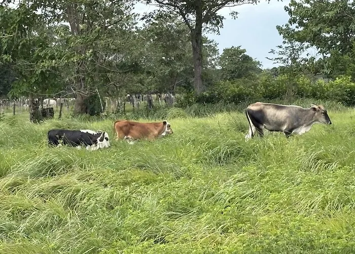Hacienda Fuentes A Luxury Modern Ranch, Private Pool & Farm Animals * Santa Cruz (Guanacaste)